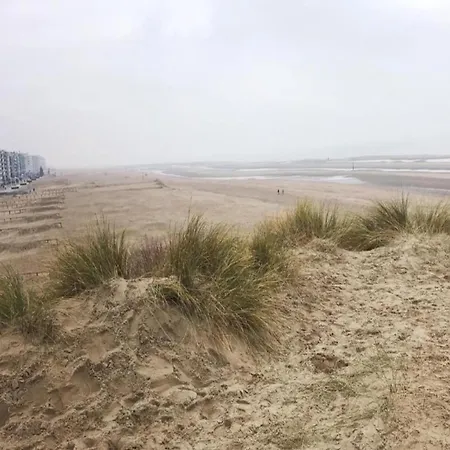 Villa Near De Panne With Sea Views Koksijde